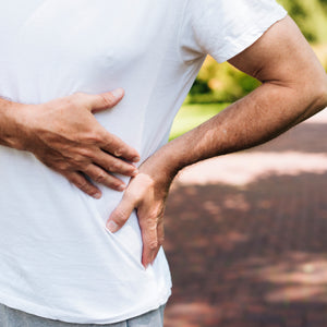 Kidney Support